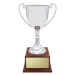 Classic Silver Cup