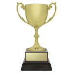 Ace Recognition Gold