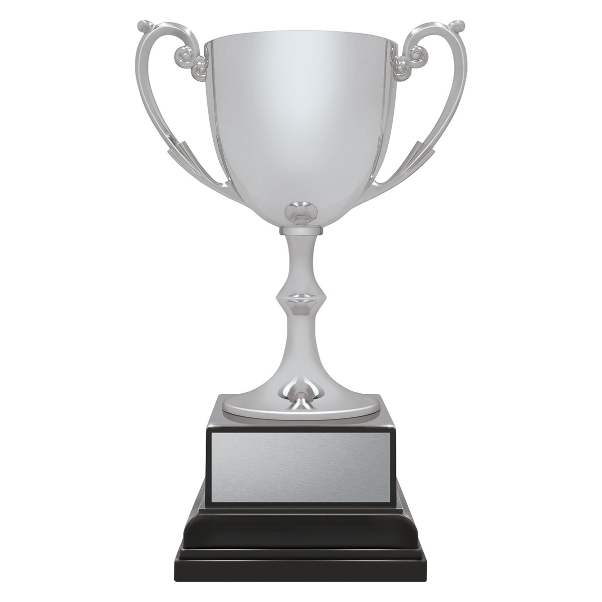 CXP9-2 Ace Recognition Silver - Image 1