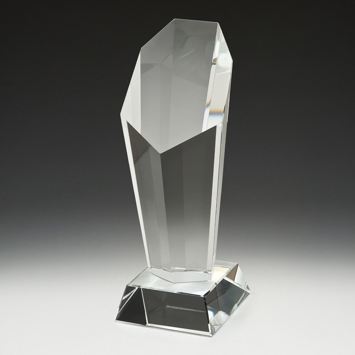 CY1003 Endurance Award - Image 1