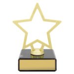 Mini Metal Star
