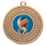Distinction - Volleyball