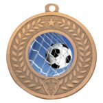 Distinction - Ball in Net