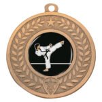 Distinction - Karate