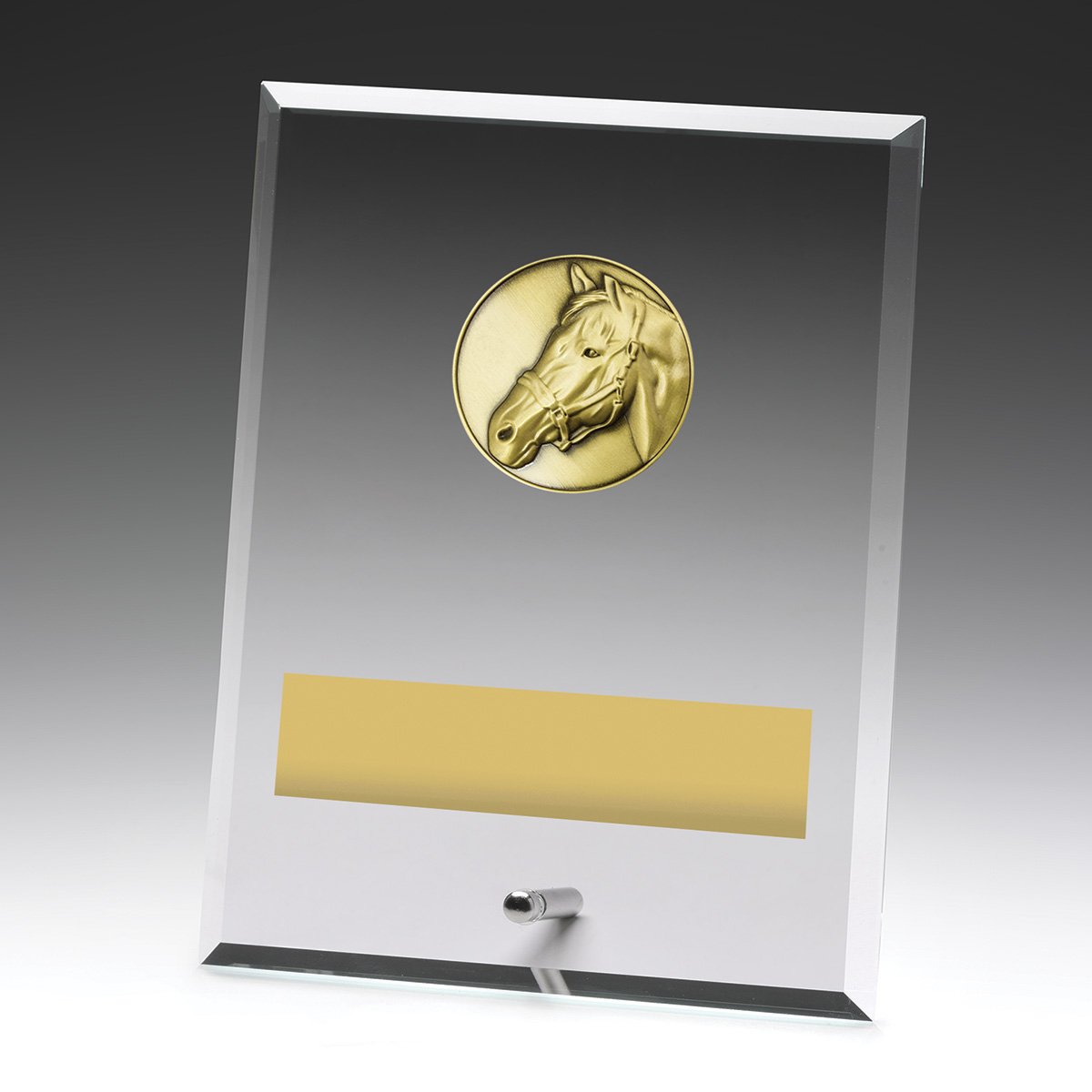 DY135C Glass Plaques - Horse - Image 1