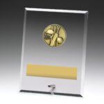 Glass Plaques - Cricket