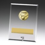 Glass Plaques - Hockey