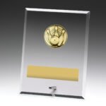 Glass Plaques - Tenpin
