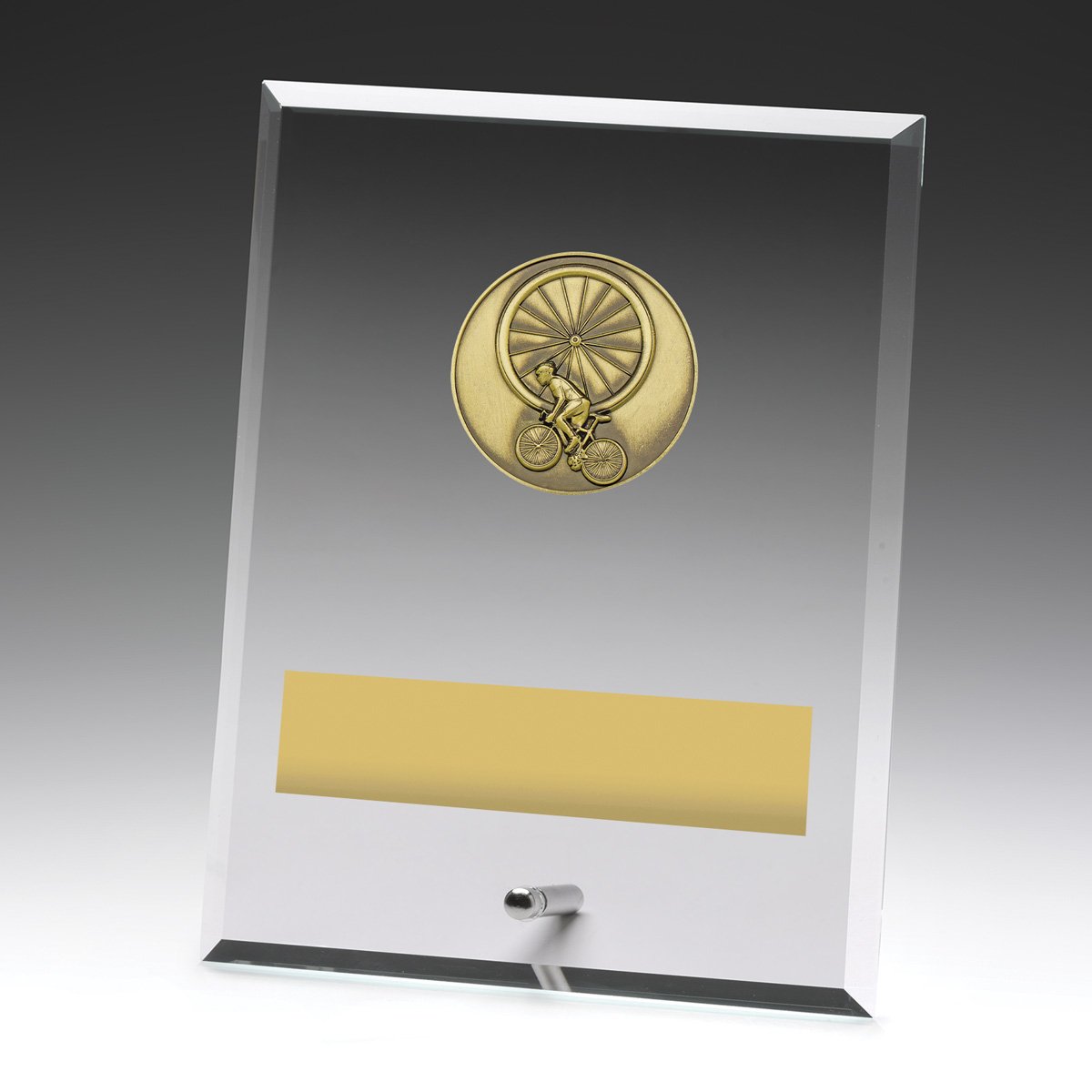 DY164C Glass Plaques - Cycling - Image 1