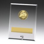Glass Plaques - Whistle