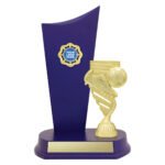 Football Blue Crest