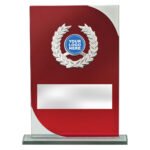 Fusion Award - Red