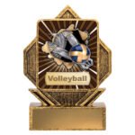 Lynx Arrow - Volleyball