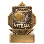 Lynx Arrow - Netball