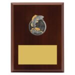 Peak Plaque Fishing