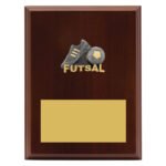 Peak Plaque Futsal