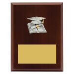Peak Plaque Academic