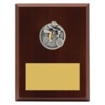 Peak Plaque BMX