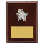Peak Plaque Public Speaking