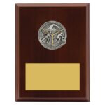 Peak Plaque Triathlon