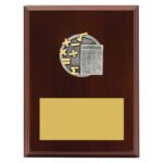 Peak Plaque Maths