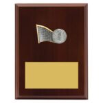 Peak Plaque Volleyball