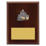 Peak Plaque Swim