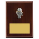 Peak Plaque Basketball