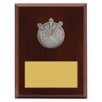 Peak Plaque Darts