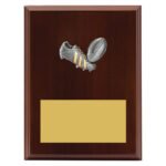 Peak Plaque