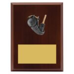 Peak Plaque Cricket