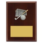 Peak Plaque Hockey