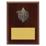 Peak Plaque Surfing