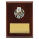 Peak Plaque Jazz / Tap