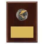 Peak Plaque Motocross