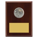 Peak Plaque Water Polo