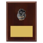 Plaque - Wicketkeeper
