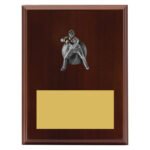 Plaque - Male Fielding