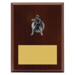 Plaque - Female Fielding