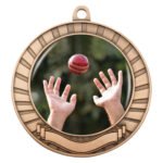 Eco Scroll - Fielding