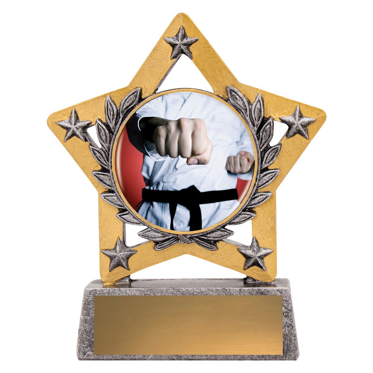 MSC451 Mini Star Colour - Martial Arts - Image 1