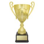 Rubicon Gold Cup