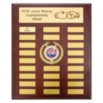 Central Logo Plaque