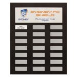 Colour Headline Plaque