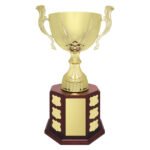 Ensign Cup