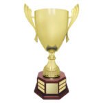 Concordia Cup