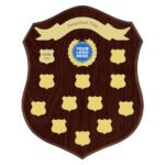 Paragon Shield