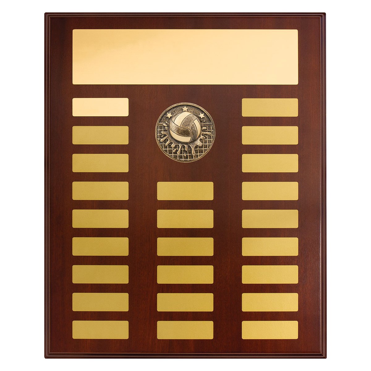 PP05-70 Perpetual Plaque - Water Polo - Image 1