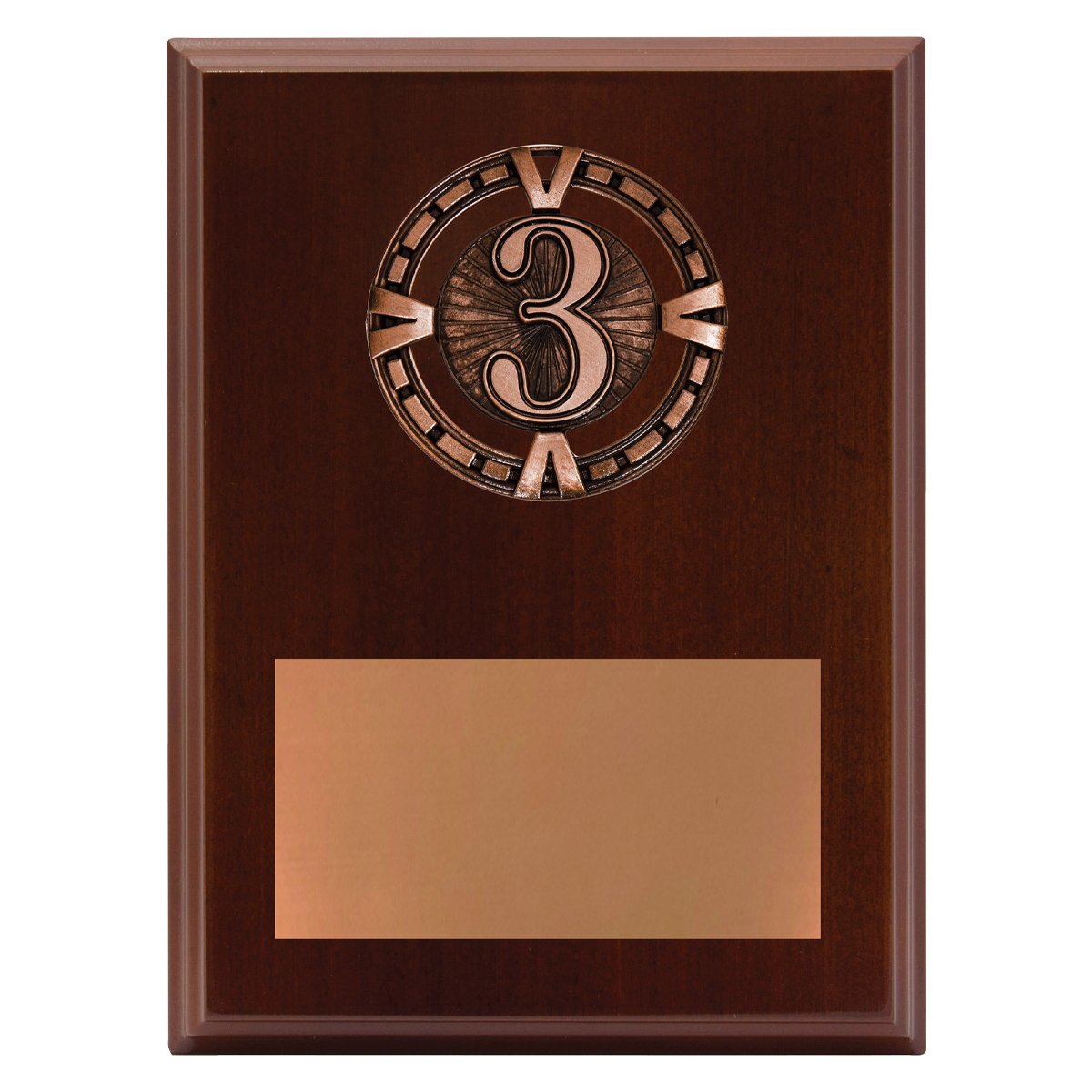 PV653 Varsity Plaque - 3rd - Image 1