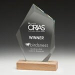 Journey Award